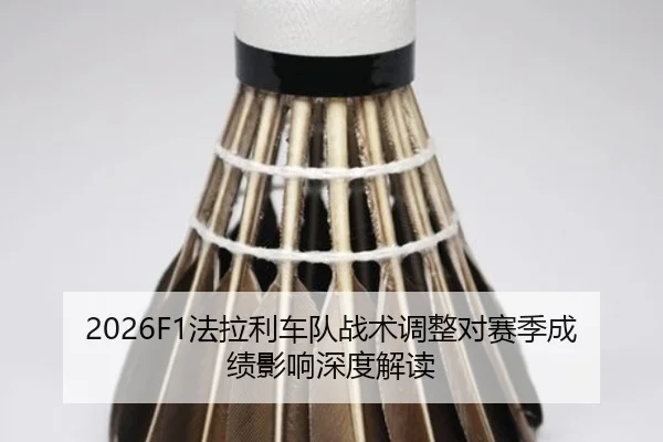 fa-la-li-che-dui-zhan-shu-tiao-zheng-dui-sai-ji-cheng-ji-ying-xiang-shen-du-jie-du-2-694.jpg
