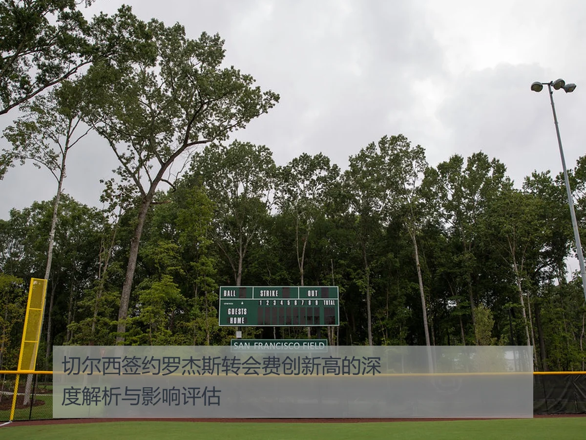 切尔西签约罗杰斯转会费创新高的深度解析与影响评估